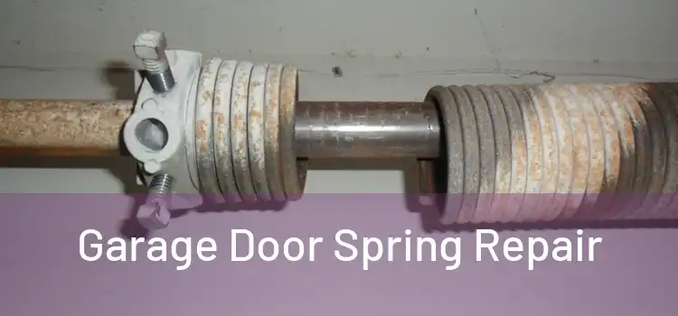  Garage Door Spring Repair 